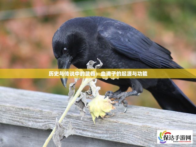 历史与传说中的武器：血滴子的起源与功能